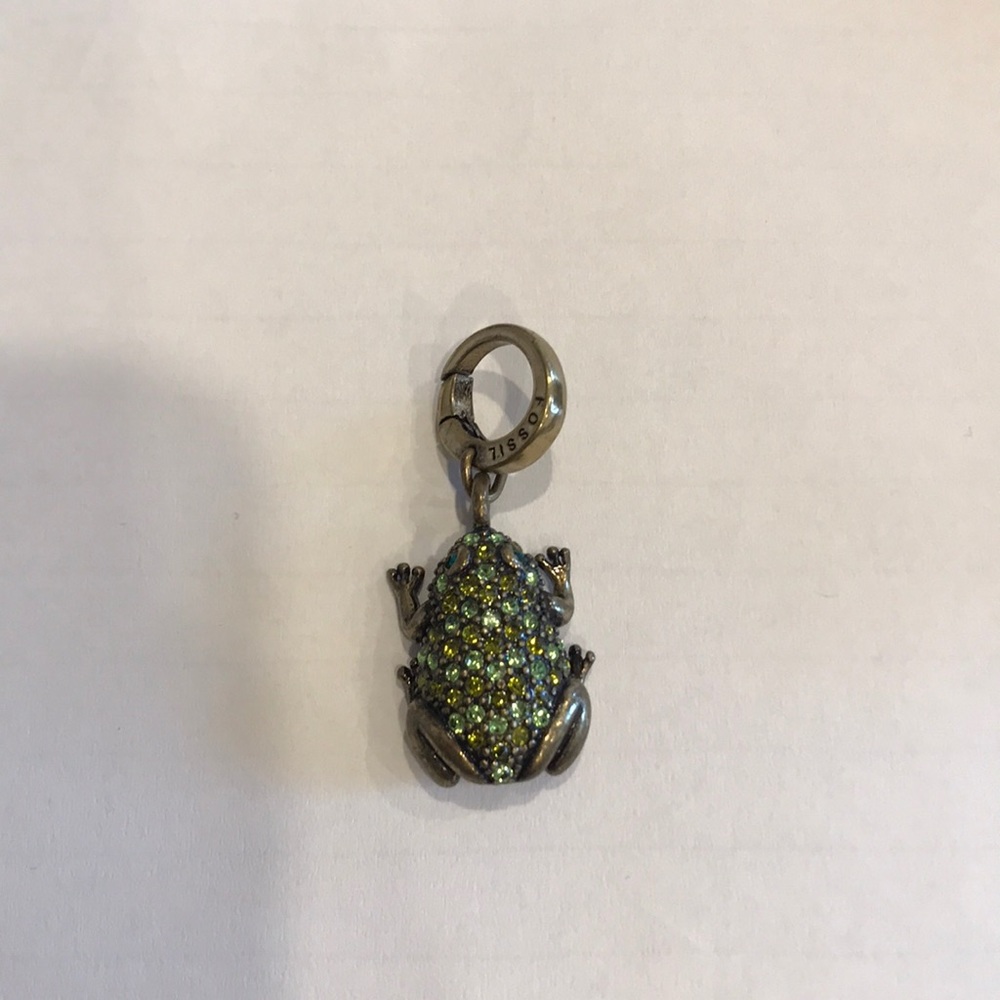 Fossil Frog charm